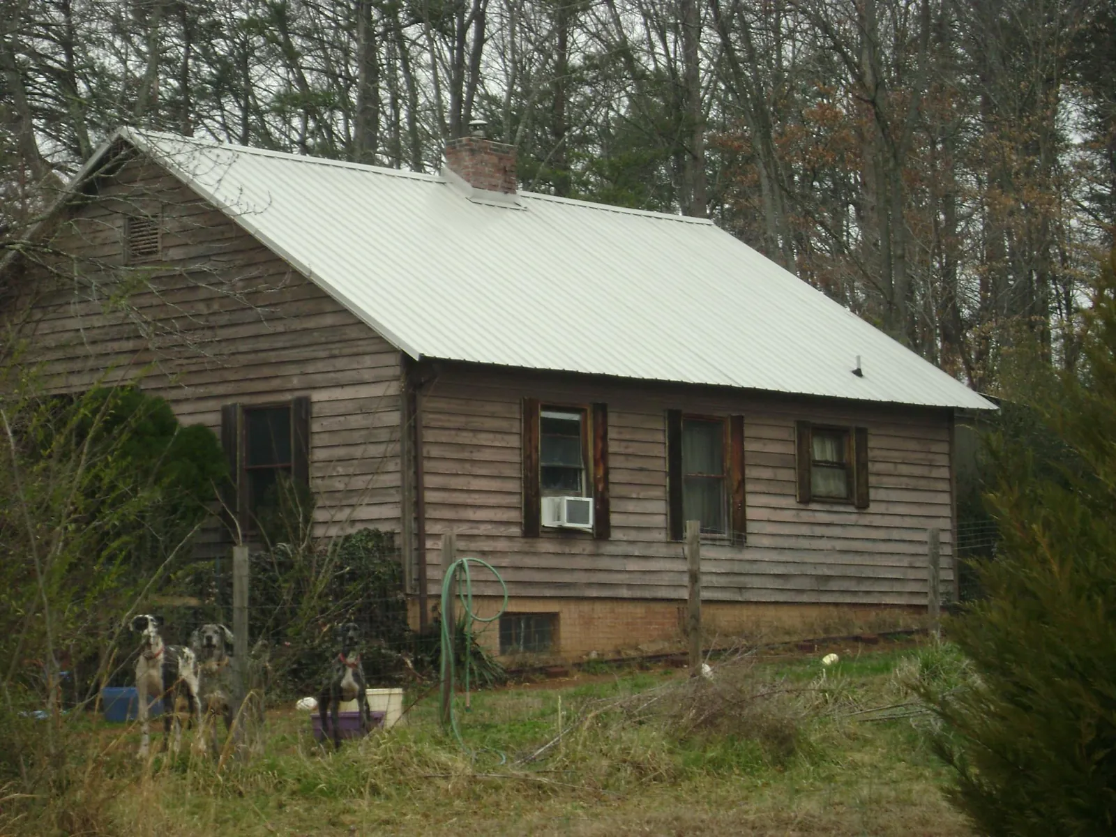 White metal roof on an old wood sided farmhouse, from a Asphalt Shingle Roof Repair job in Little Falls